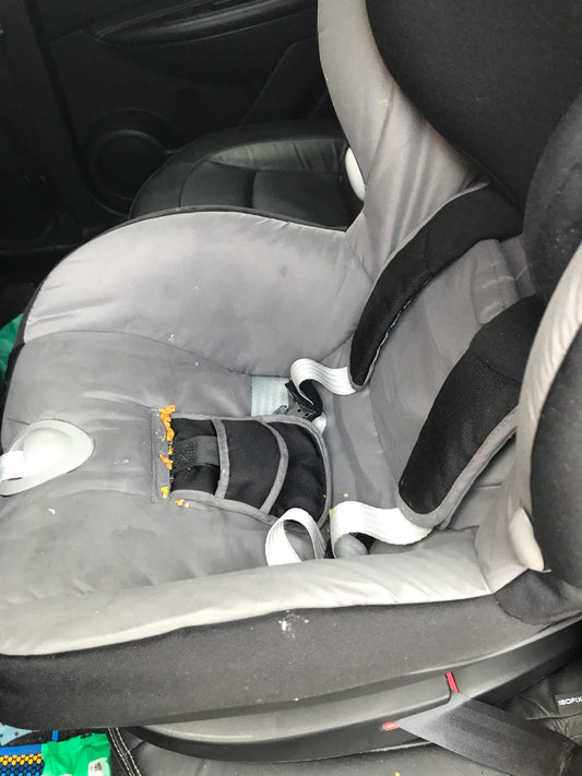 Looking to Have Your Cybex Buggy Cleaned? - Buggy Pitstop