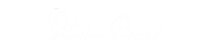 buggy-pitstop-silver-cross-logo
